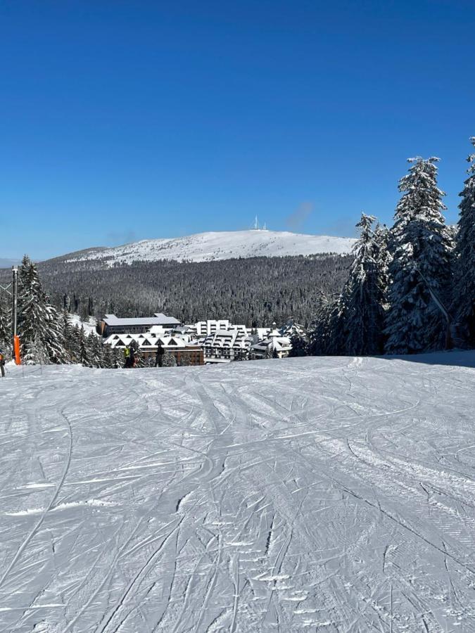 Woodside Apartment 431, Kopaonik - One Separate Bedroom 35M2- Free Parking & Spa Exterior foto